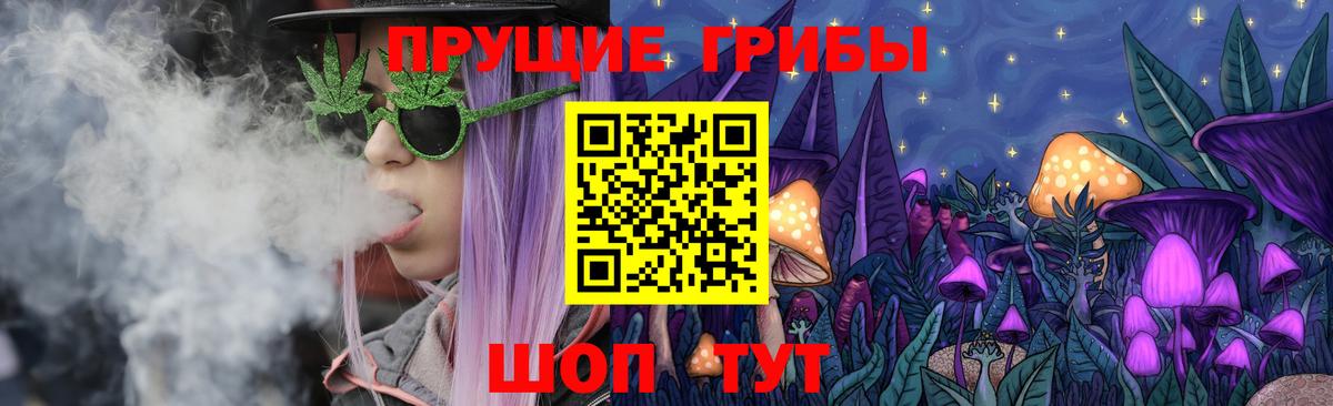 Галлюциногенные грибы Magic Shrooms  Псилоцибиновые грибы Magic Shrooms  Сланцы  Вход с VPN 
